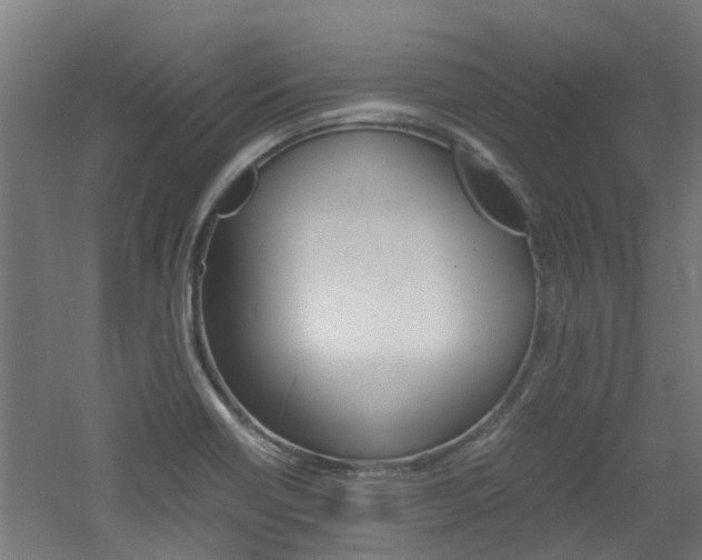 X0000060781418200511100956