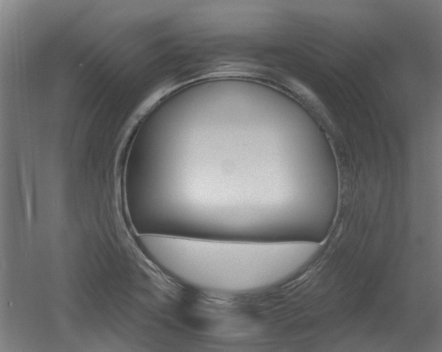 X0000060781419200511100956