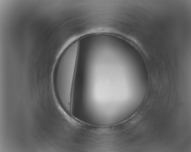 X0000060781422200511100956