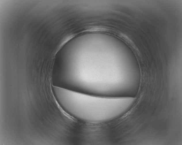 X0000060781425200511100956