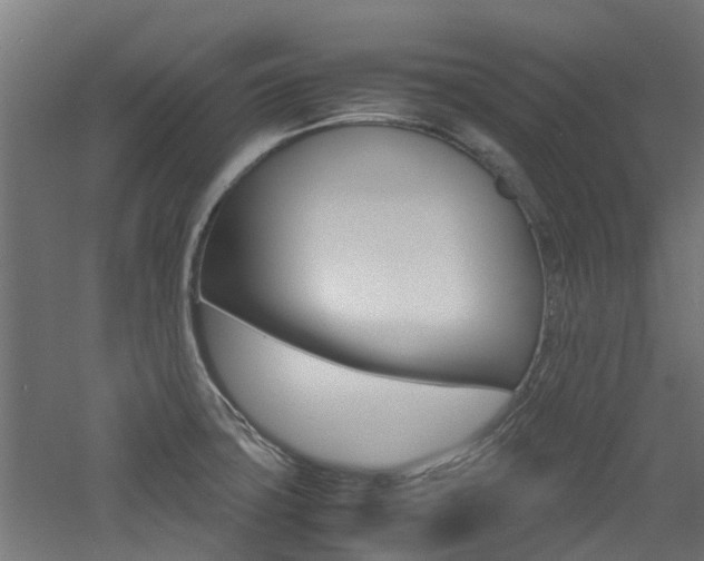 X0000060781427200511100956