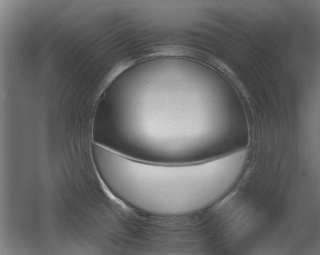 X0000060781433200511100957