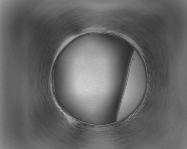 X0000060781440200511100957