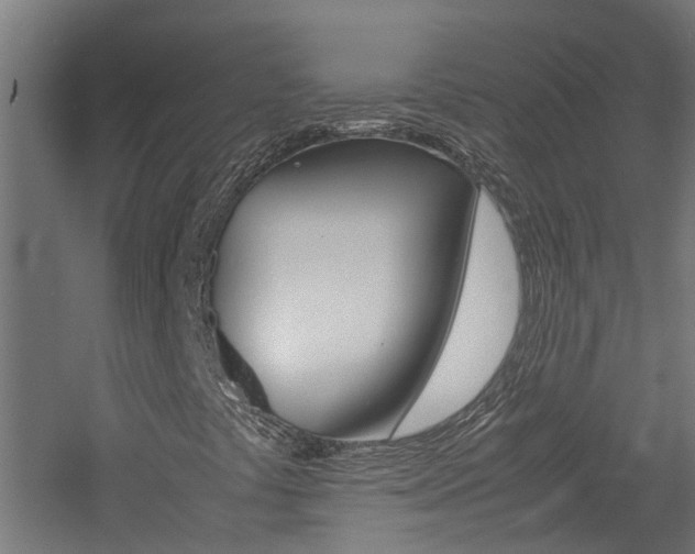 X0000060781441200511100956