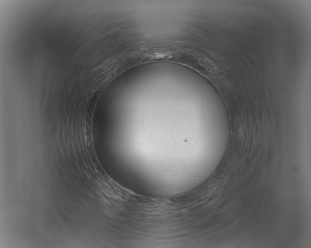 X0000060781442200511100956