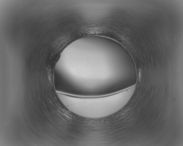 X0000060781444200511100956