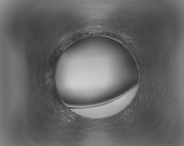 X0000060781445200511100956
