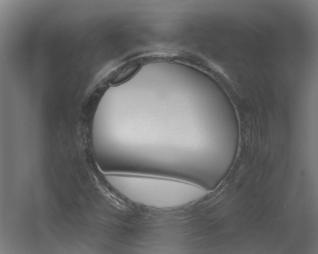 X0000060781448200511100956
