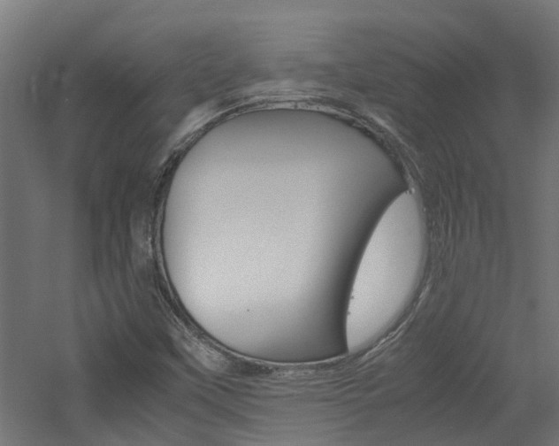 X0000060781451200511100956
