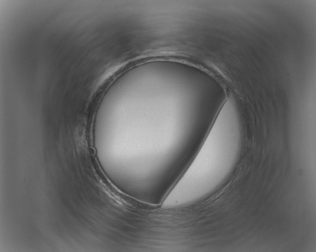 X0000060781452200511100956