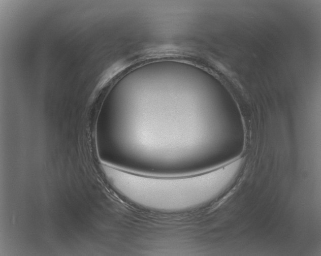 X0000060781453200511100956