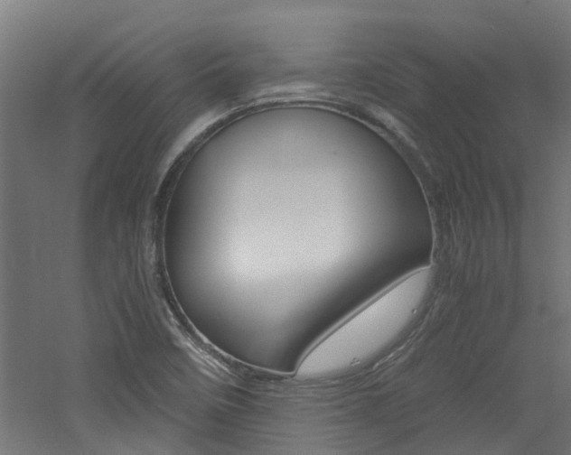 X0000060781458200511100956