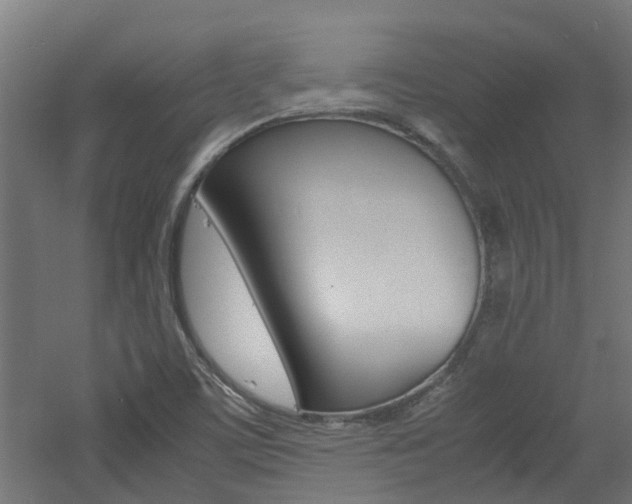 X0000060781459200511100956
