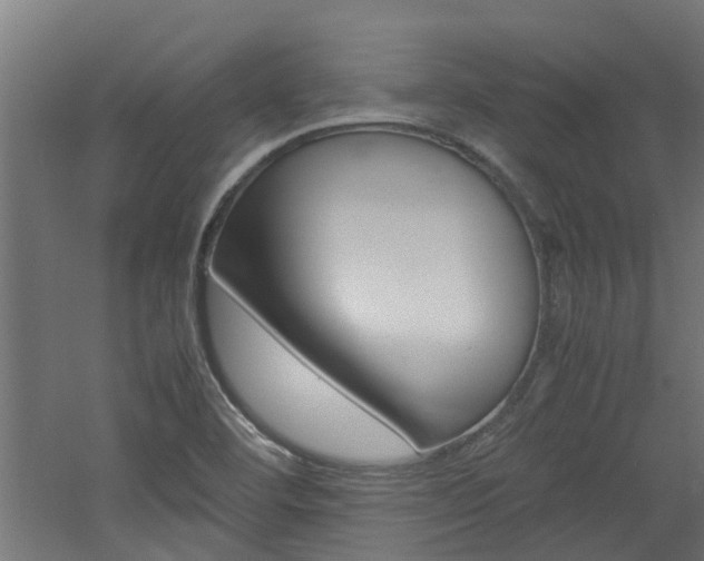 X0000060781460200511100956