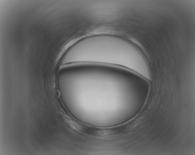 X0000060781461200511100955
