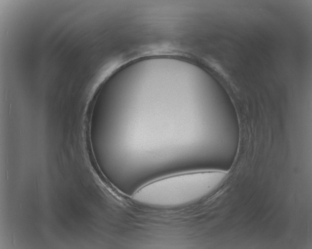 X0000060781463200511100955