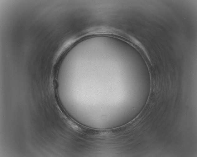 X0000060781464200511100955