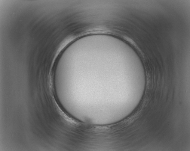 X0000060781466200511100955