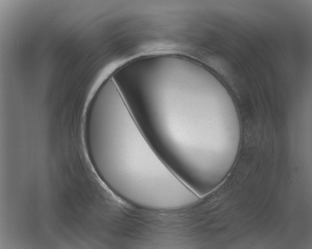 X0000060781472200511100955