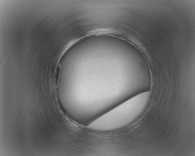 X0000060781473200511100955