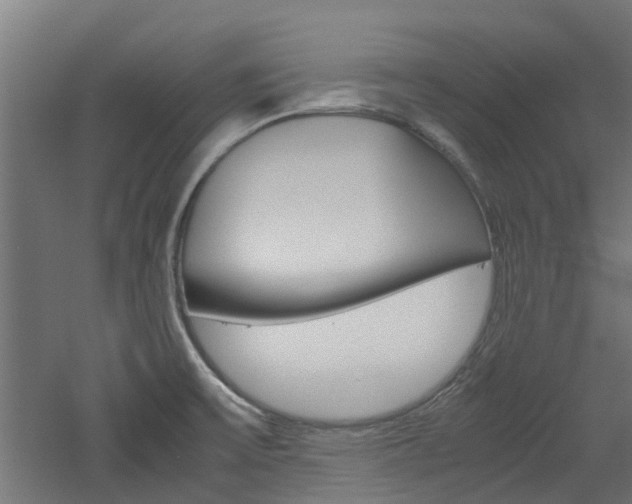 X0000060781475200511100955