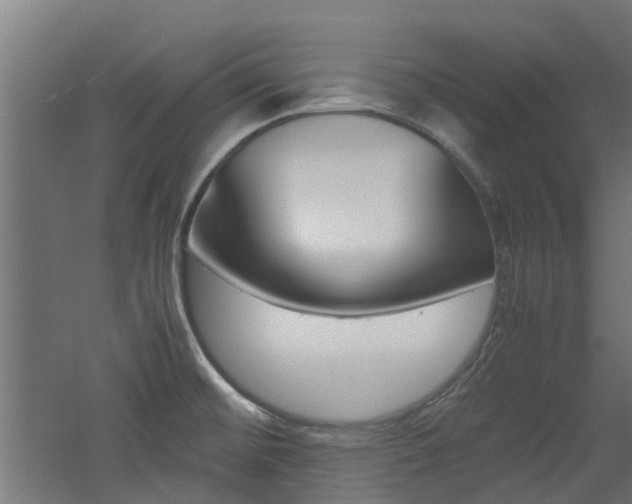 X0000060781476200511100955