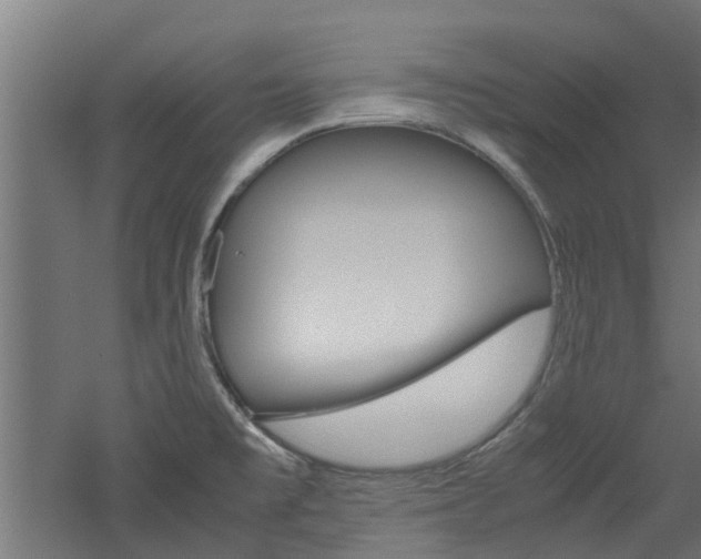 X0000060781477200511100955