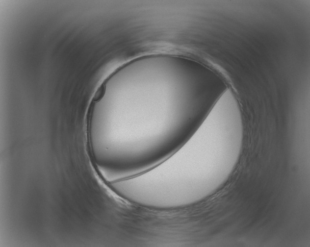 X0000060781479200511100955
