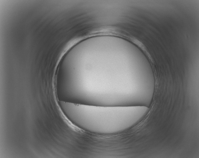 X0000060781482200511100955