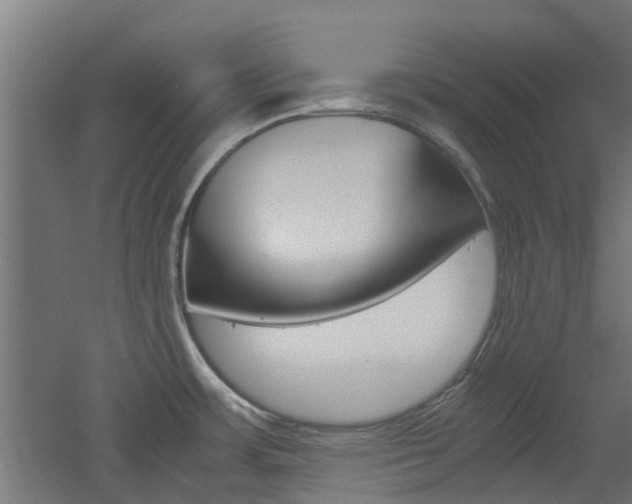 X0000060781483200511100955