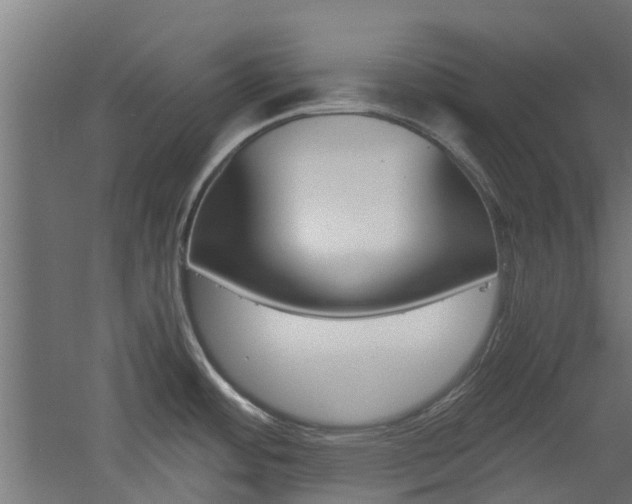 X0000060781484200511100955