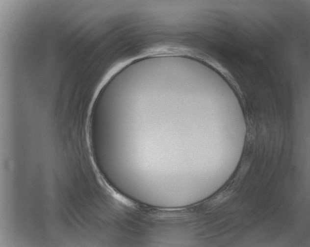 X0000060781486200511100955