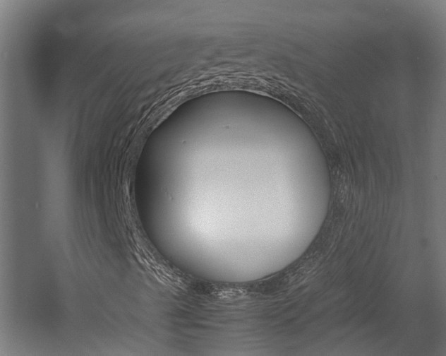 X0000060781489200511100954