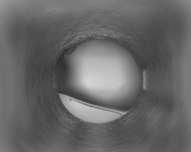 X0000060781491200511100954