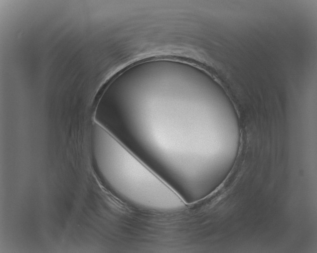 X0000060781505200511100954
