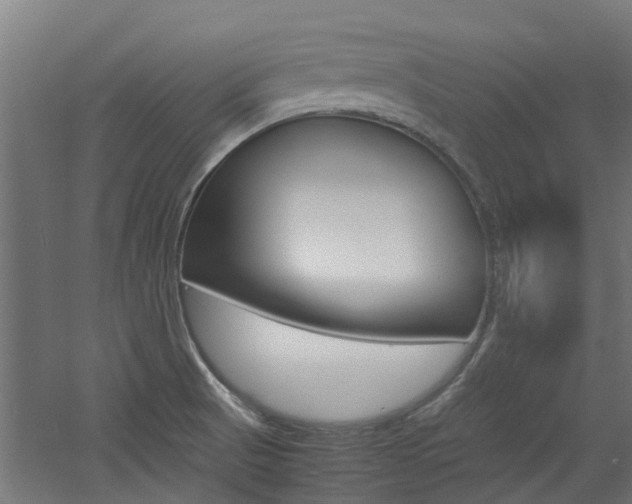 X0000060781521200511100955