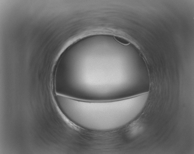 X0000060781523200511100955