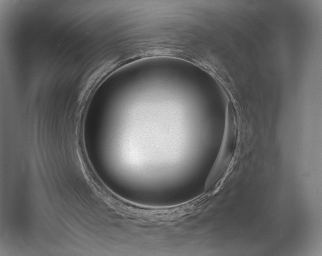 X0000060780001200511101352