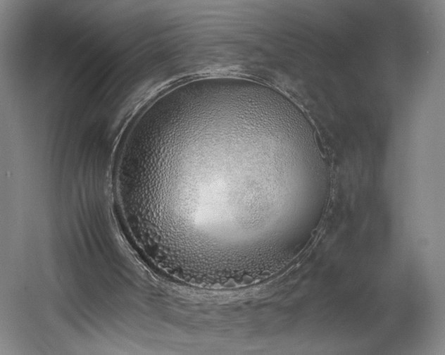 X0000060780002200511101352