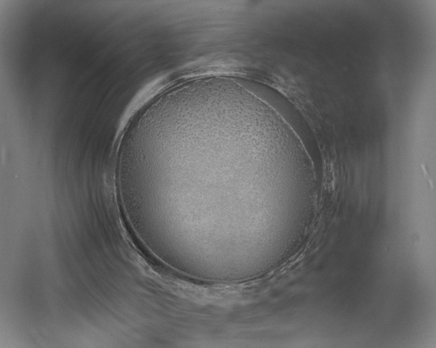 X0000060780004200511101352