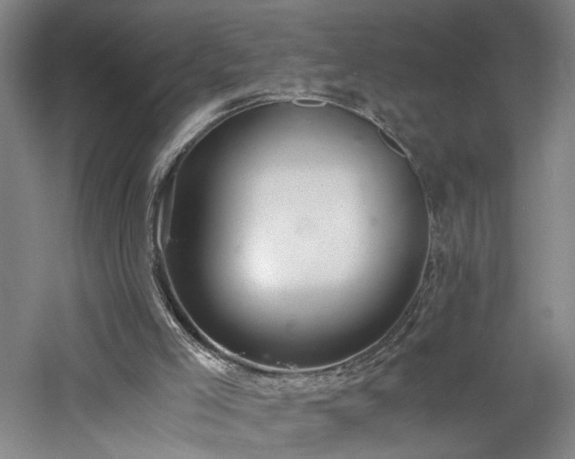 X0000060780005200511101352