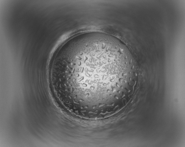 X0000060780006200511101352