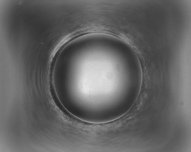 X0000060780007200511101352