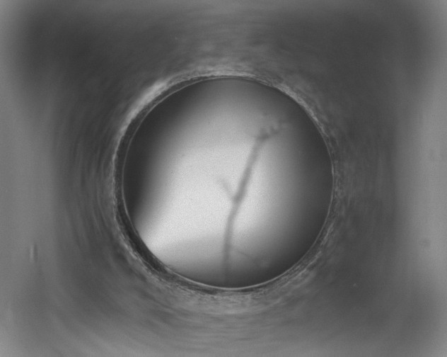 X0000060780008200511101352