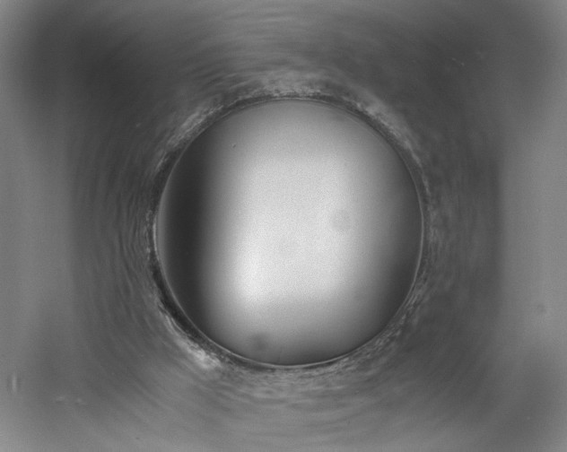 X0000060780009200511101352