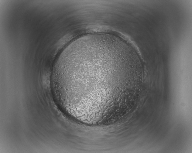 X0000060780010200511101352