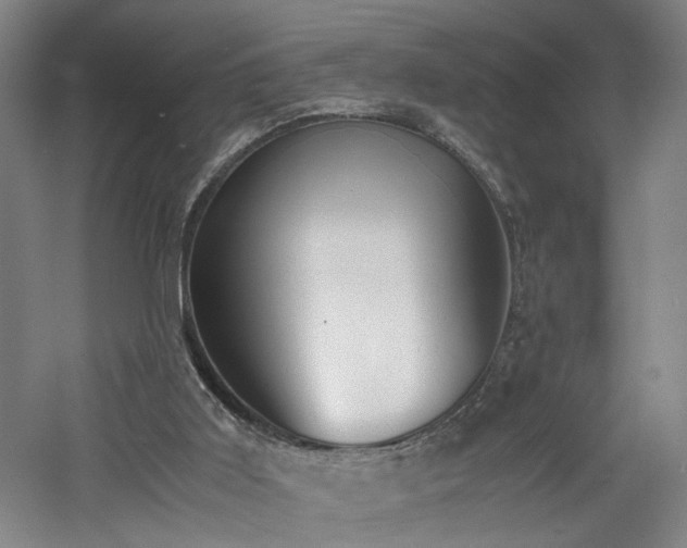 X0000060780011200511101352