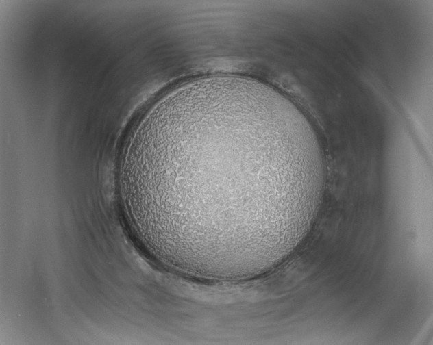 X0000060780012200511101351