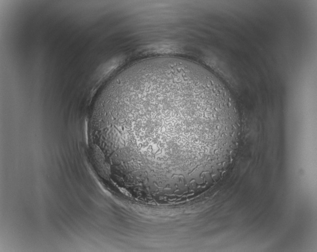 X0000060780014200511101351