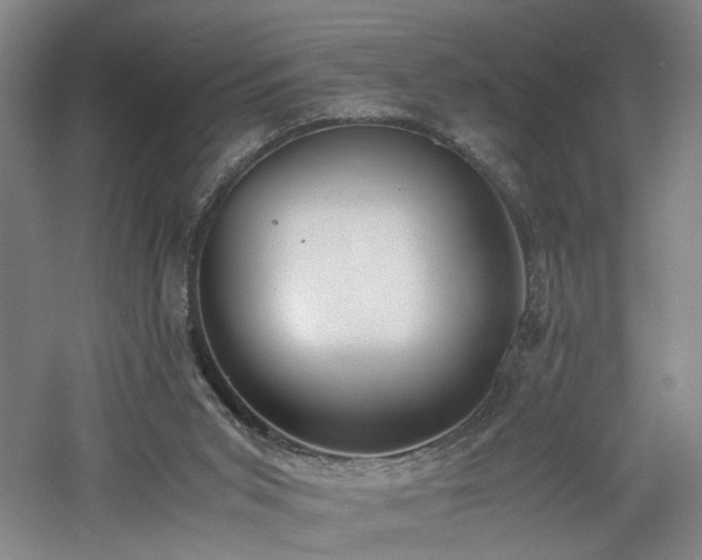 X0000060780015200511101351